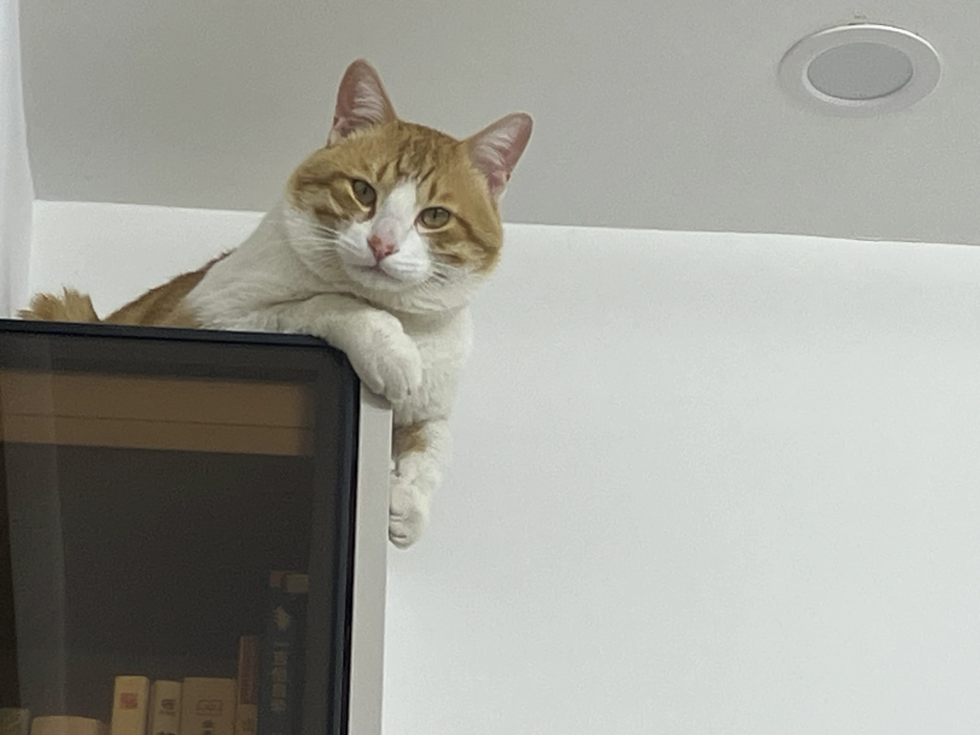核桃